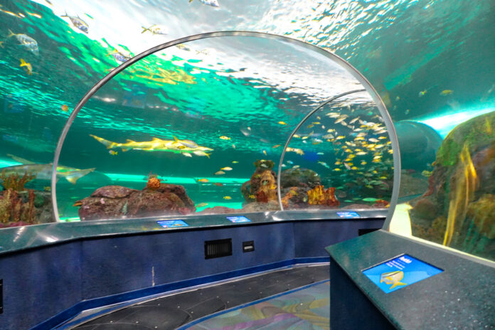 Underwater Fish Tunnel Exhibition Hyderabad